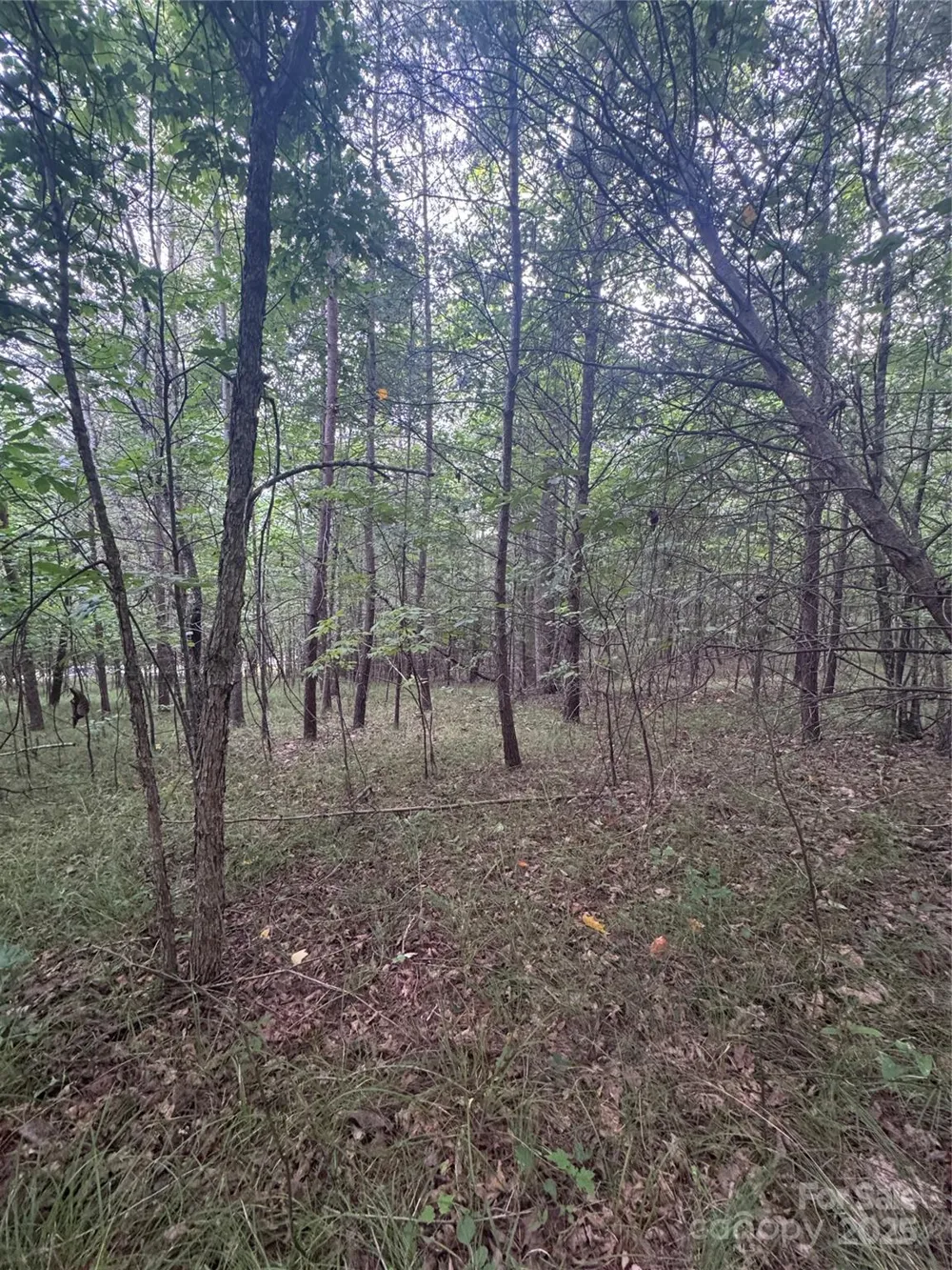 0 Cross Creek Drive #67 Rutherfordton, NC 00000