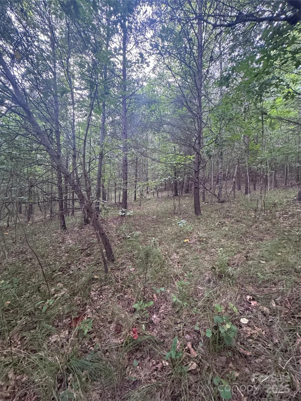 0 Cross Creek Drive #67 Rutherfordton, NC 00000