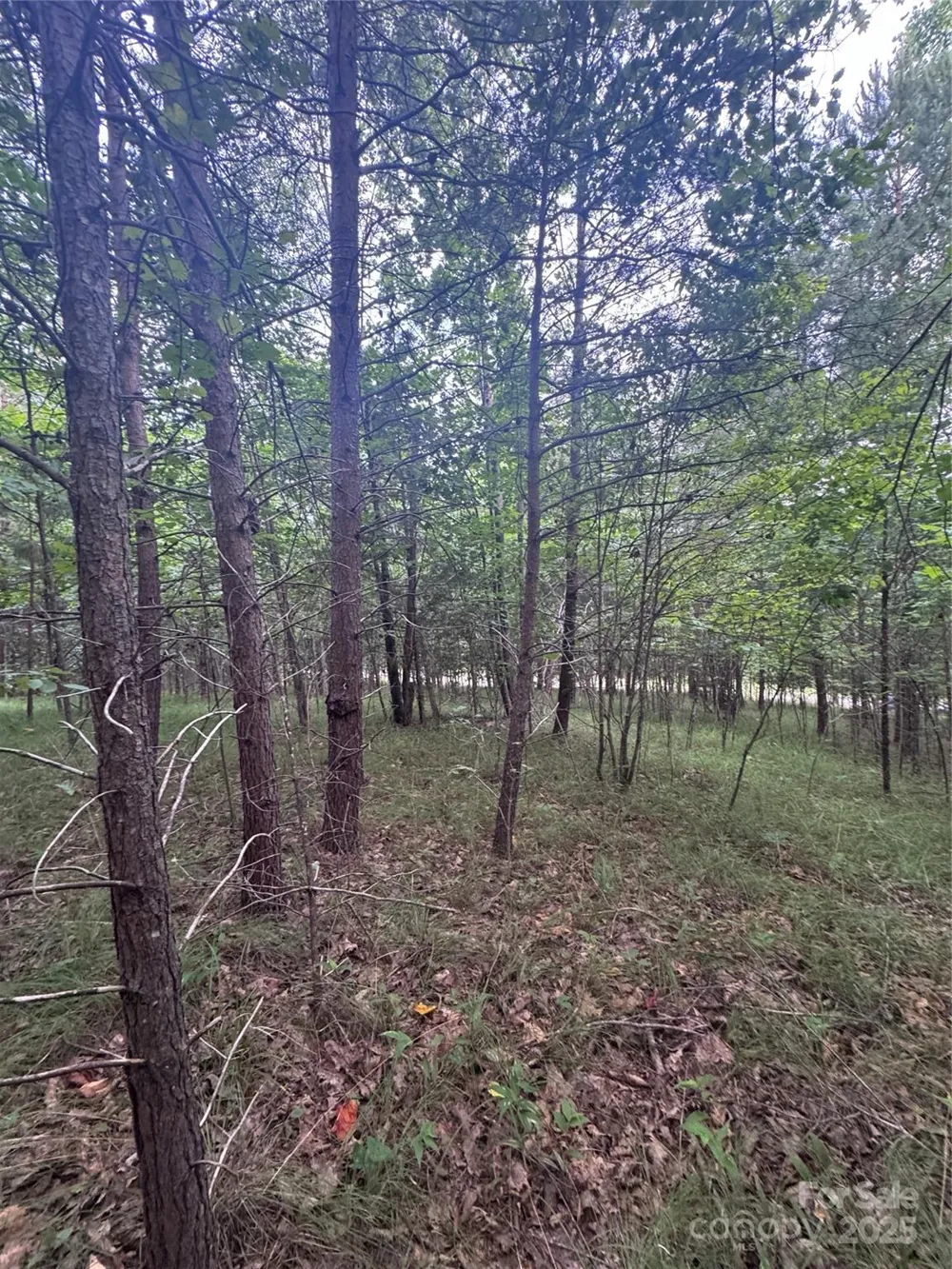 0 Cross Creek Drive #67 Rutherfordton, NC 00000