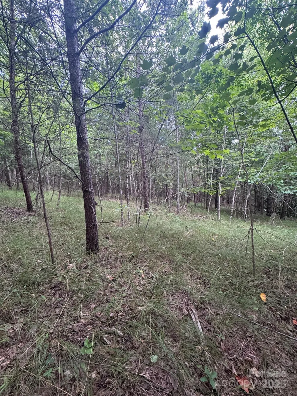 0 Cross Creek Drive #67 Rutherfordton, NC 00000