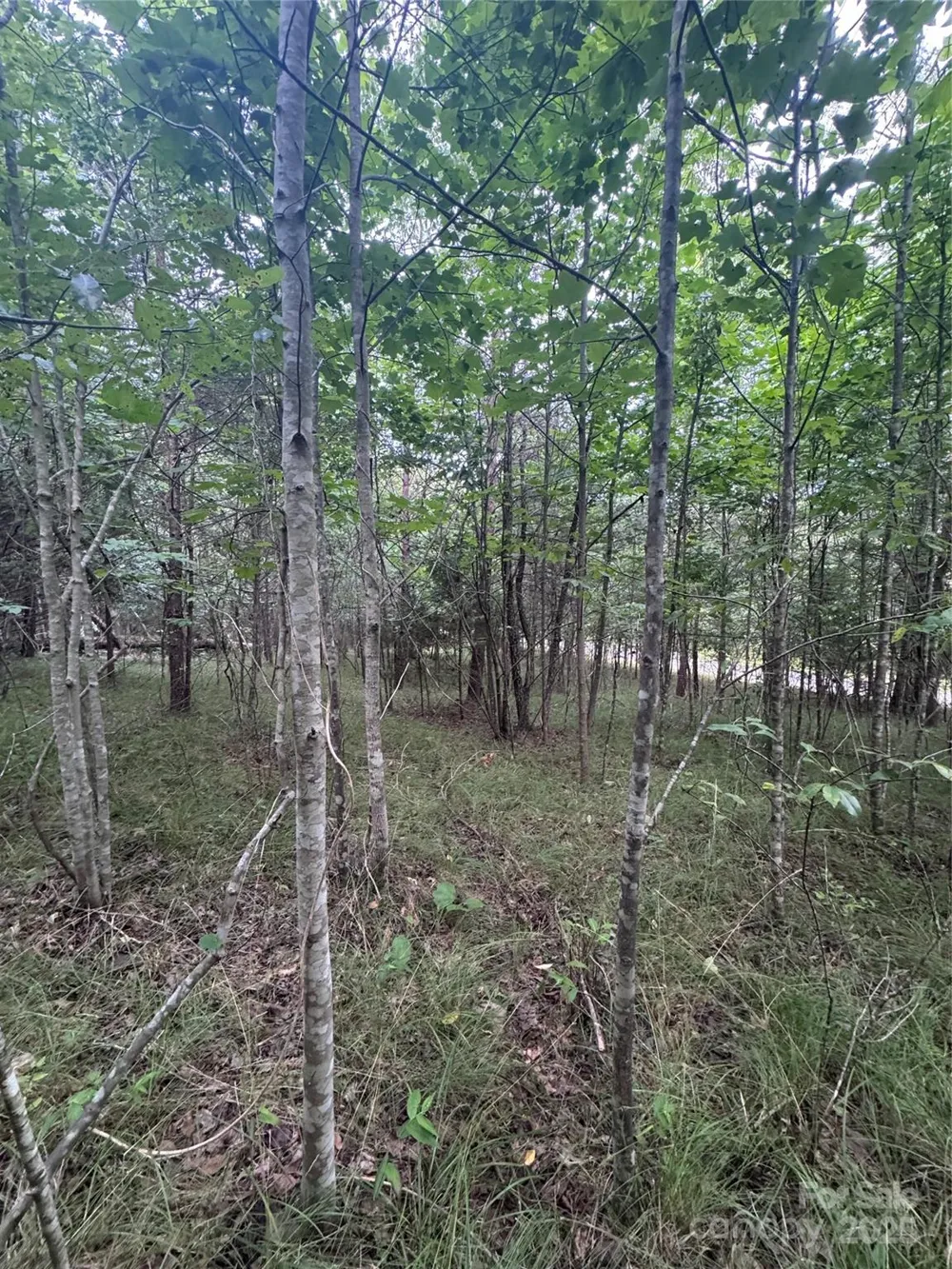 0 Cross Creek Drive #67 Rutherfordton, NC 00000