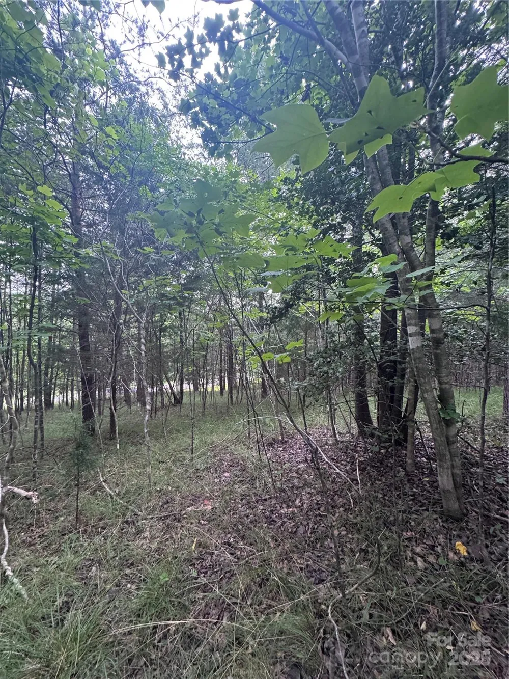 0 Cross Creek Drive #67 Rutherfordton, NC 00000