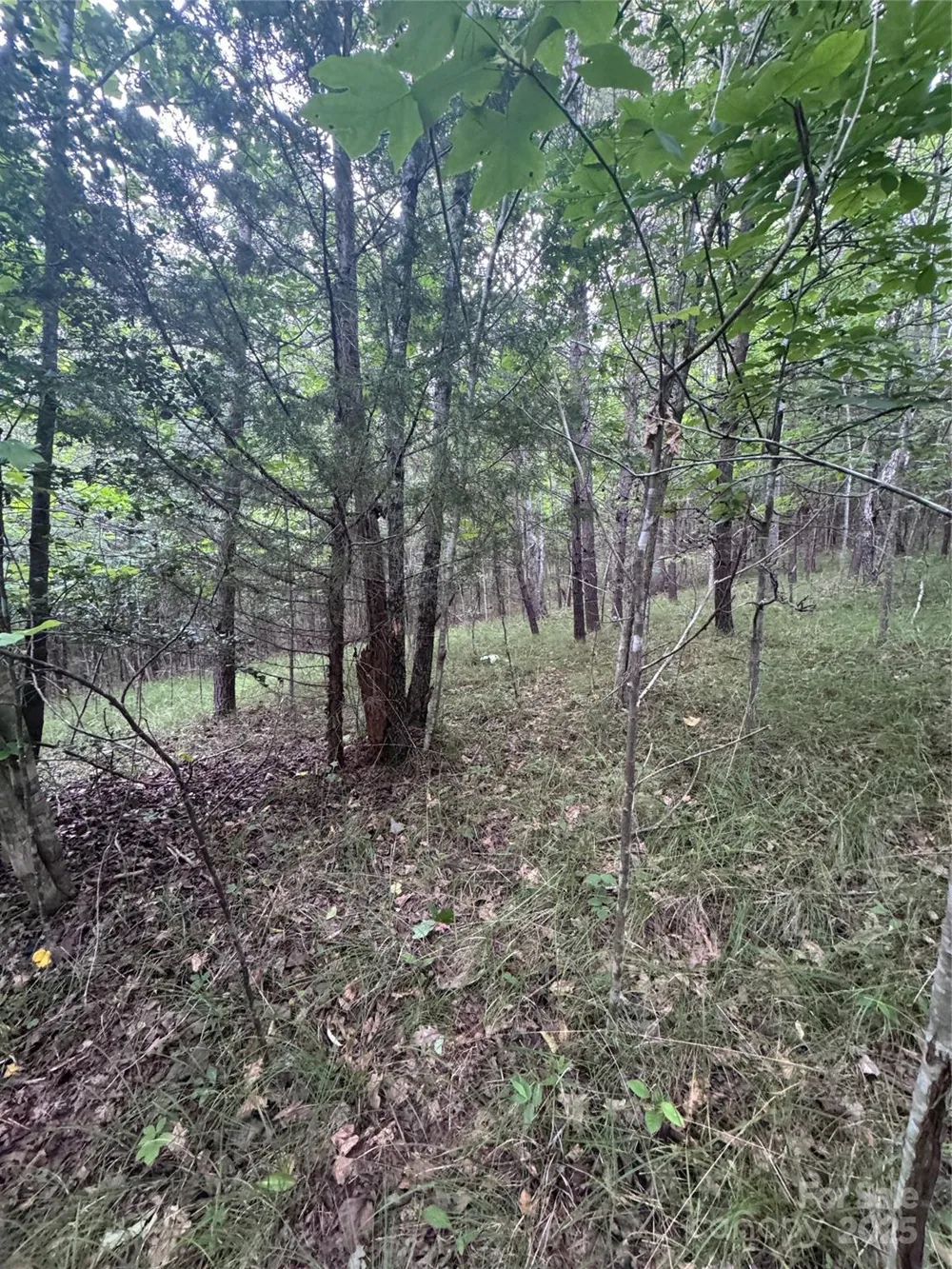 0 Cross Creek Drive #67 Rutherfordton, NC 00000