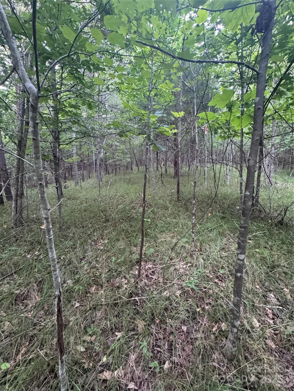 0 Cross Creek Drive #67 Rutherfordton, NC 00000