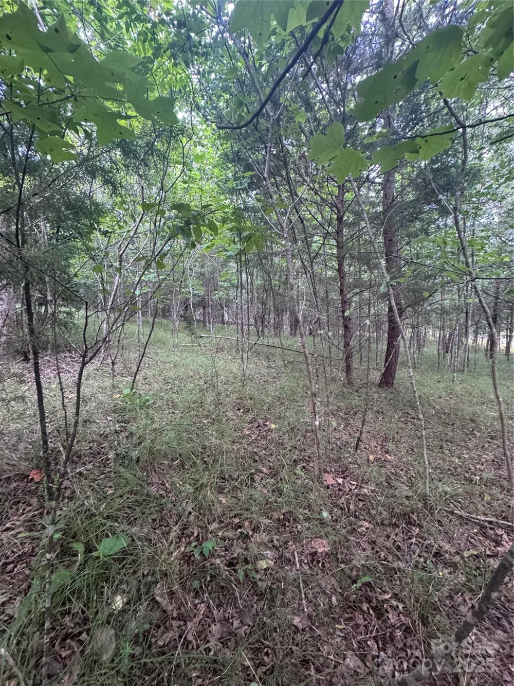 0 Cross Creek Drive #67 Rutherfordton, NC 00000