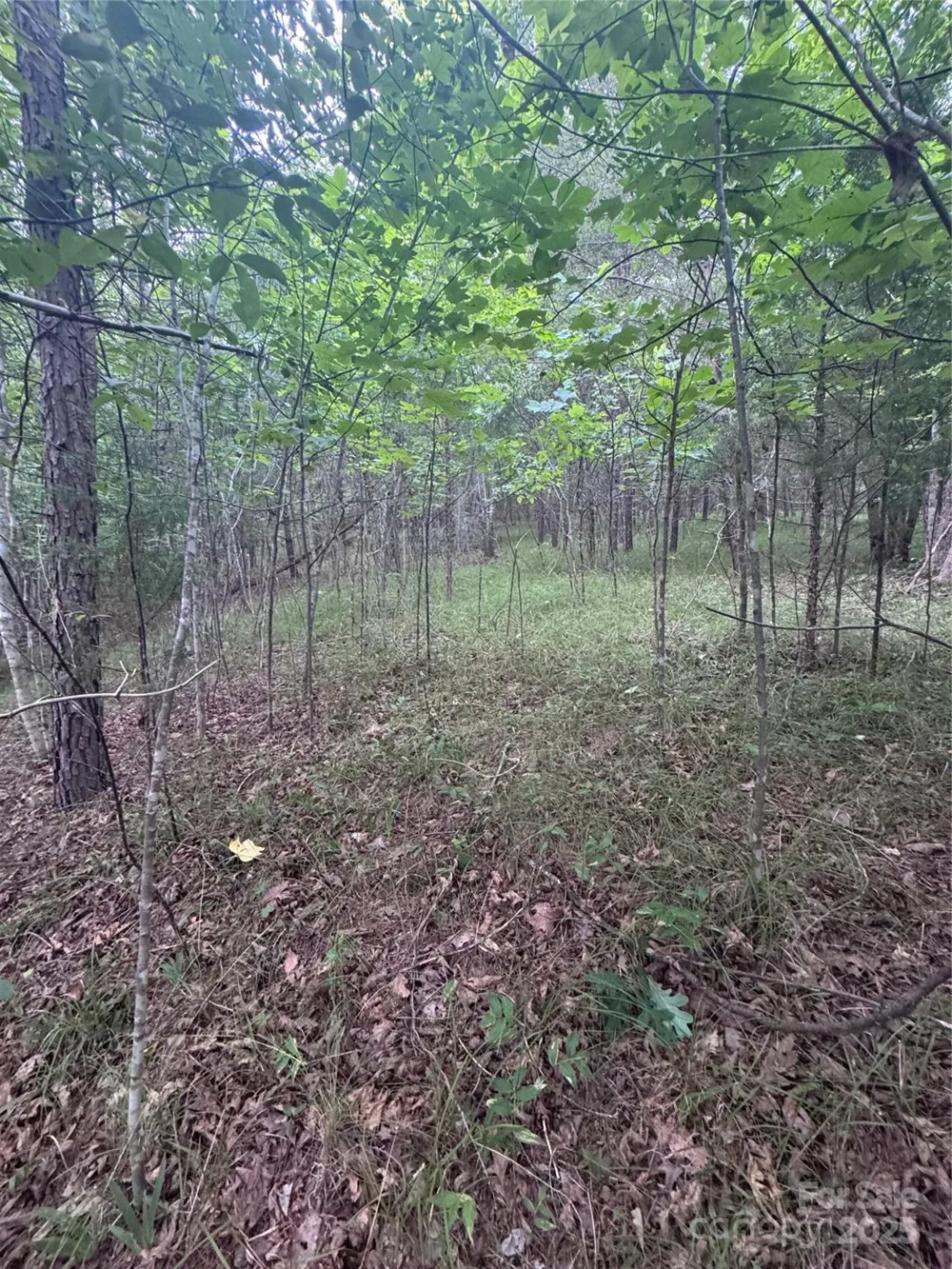 0 Cross Creek Drive #67 Rutherfordton, NC 00000