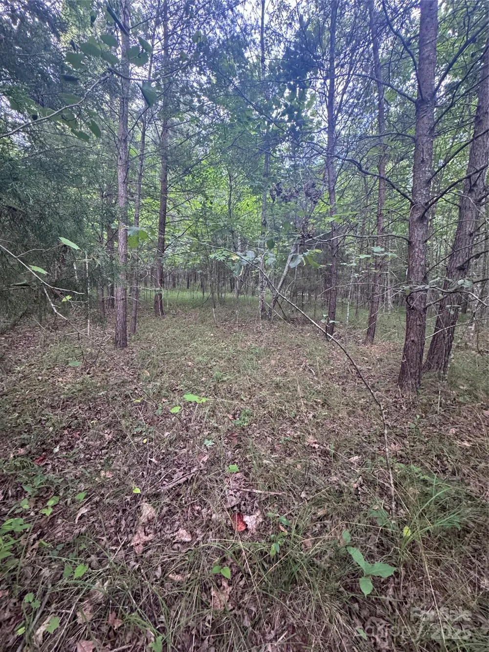 0 Cross Creek Drive #67 Rutherfordton, NC 00000