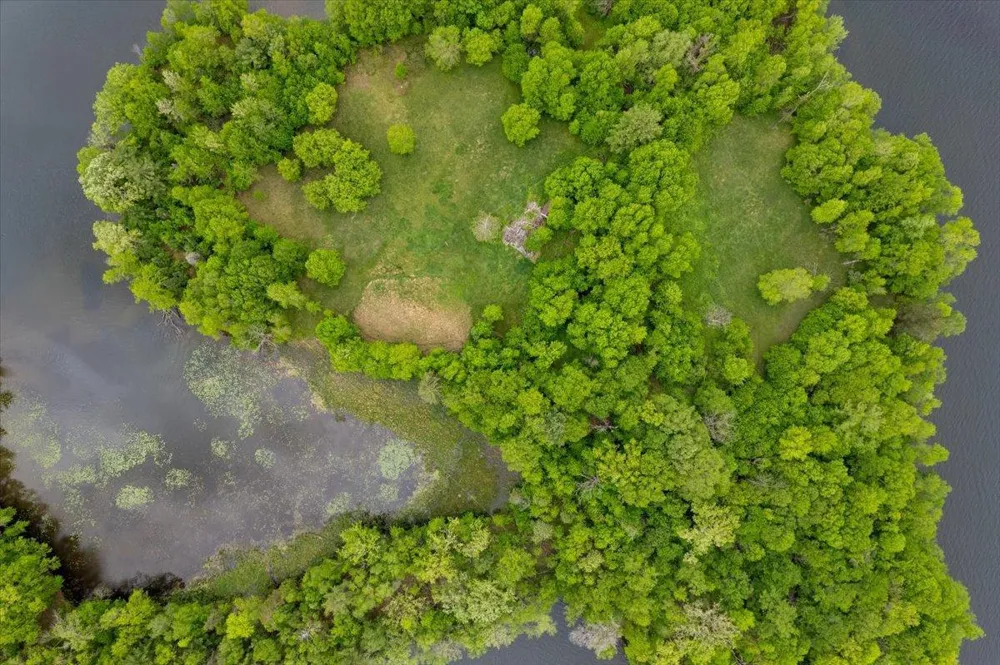 X Garbutt Island Birchwood, WI 54817