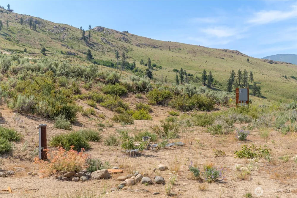 15 Cowboy Road Pateros, WA 98846