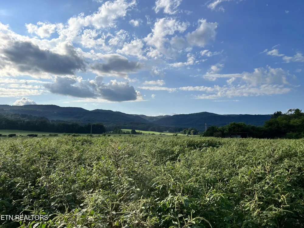 0 Old State Hwy Pikeville, TN 37367