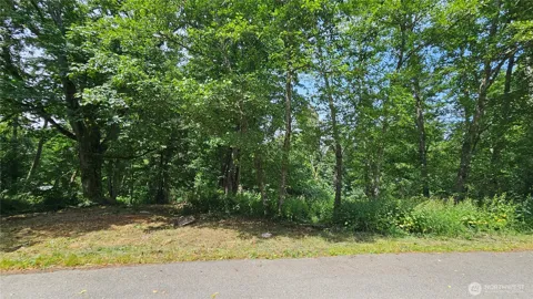 304 Dove Drive