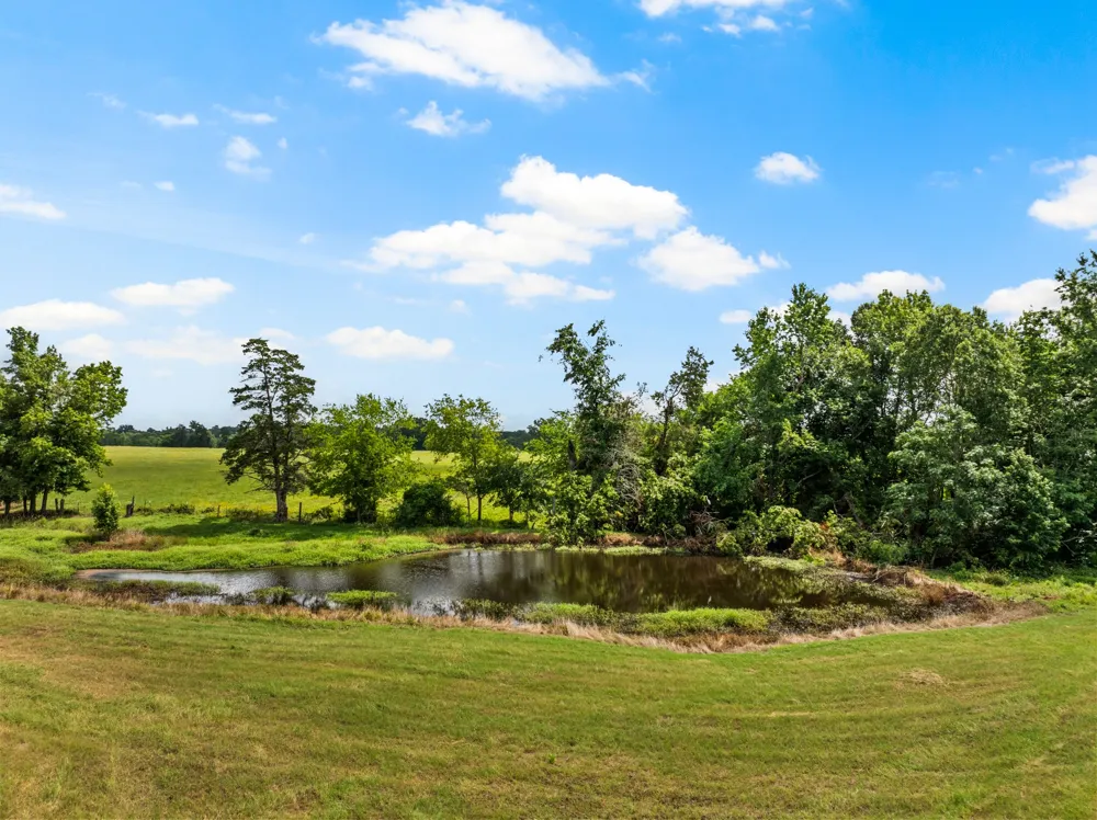 468 CR 4211 Pittsburg, TX 75686