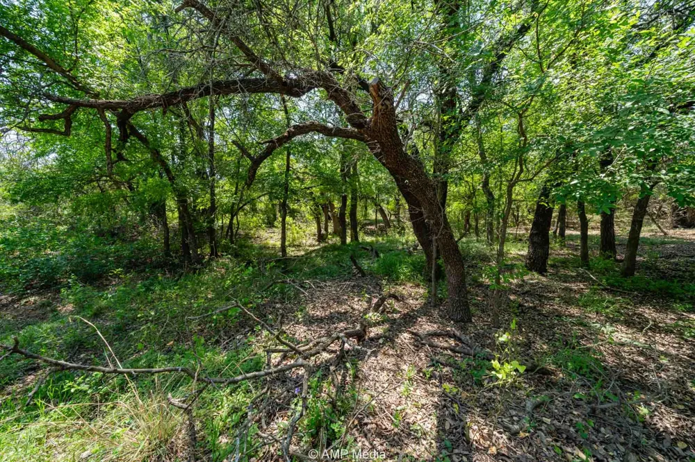 748 County Road 350 Dublin, TX 76446
