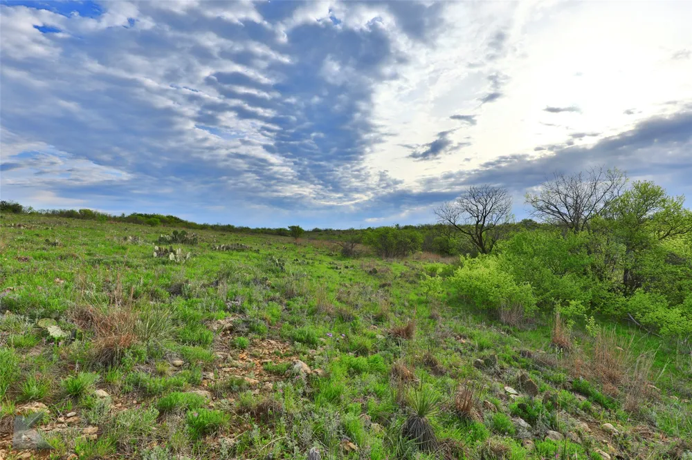 c.r 2.4.7. Oplin, TX 79510