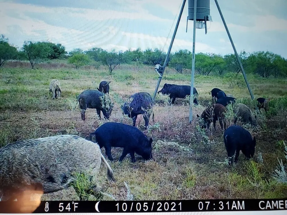 c.r 2.4.7. Oplin, TX 79510