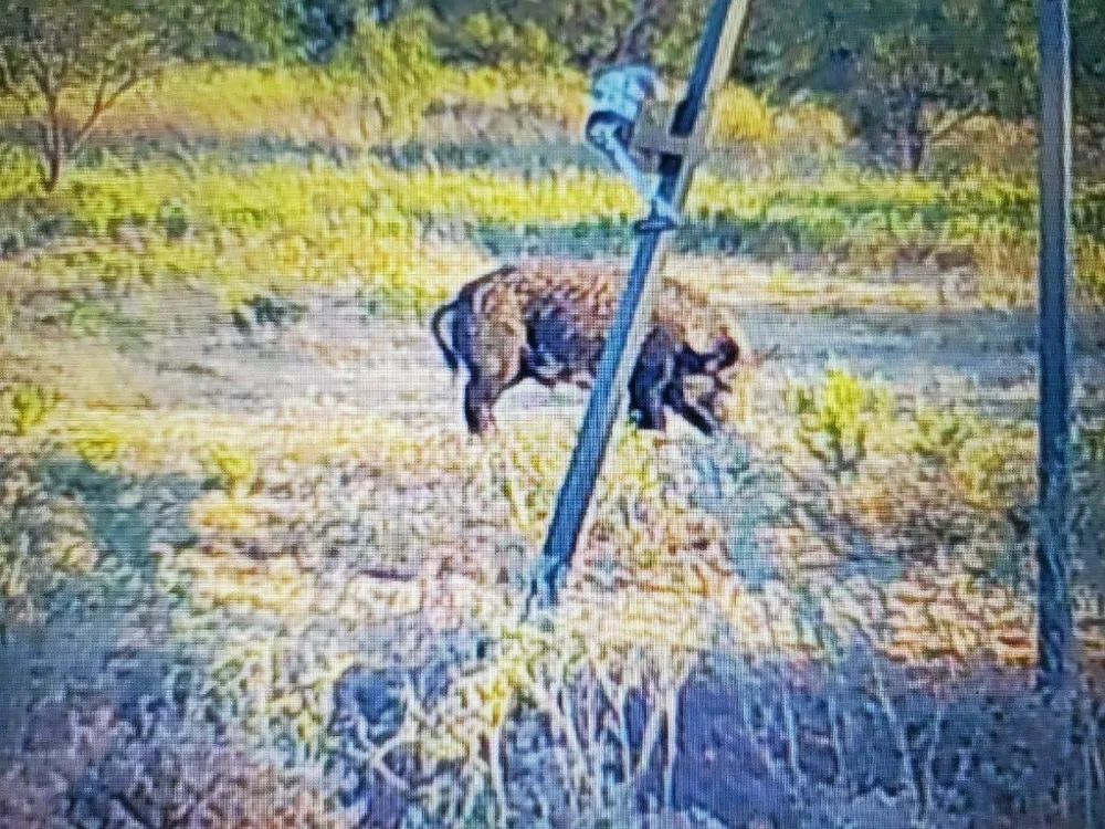 c.r 2.4.7. Oplin, TX 79510