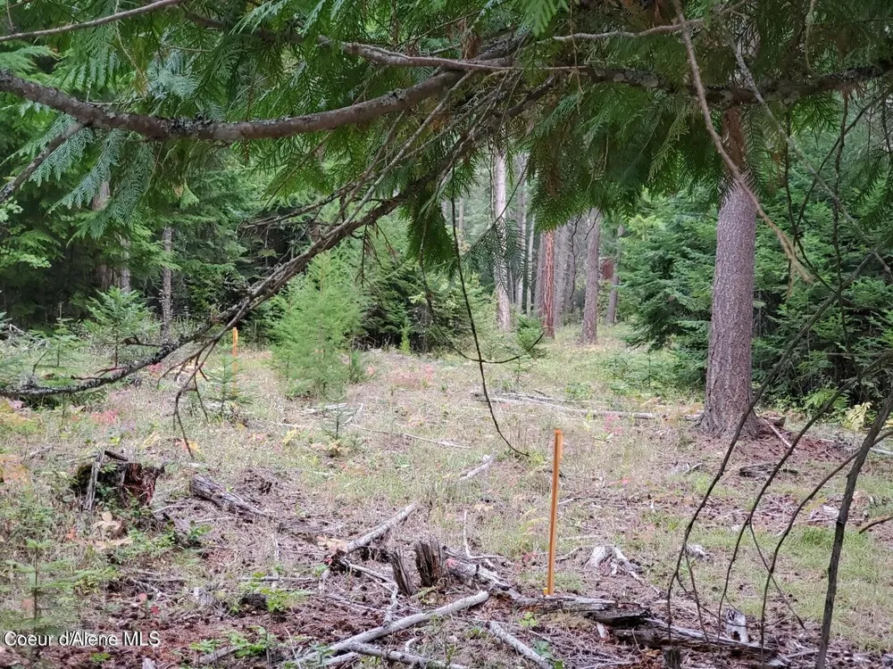 NNA Monarch Place Bonners Ferry, ID 83805