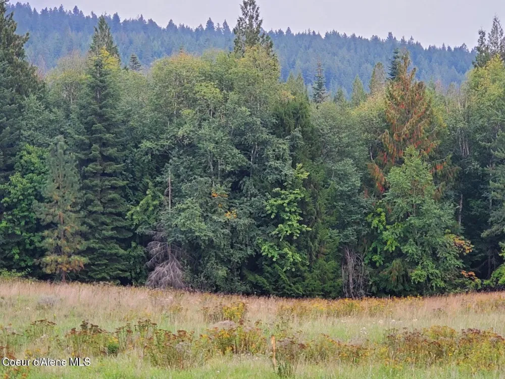 NNA Monarch Place Bonners Ferry, ID 83805