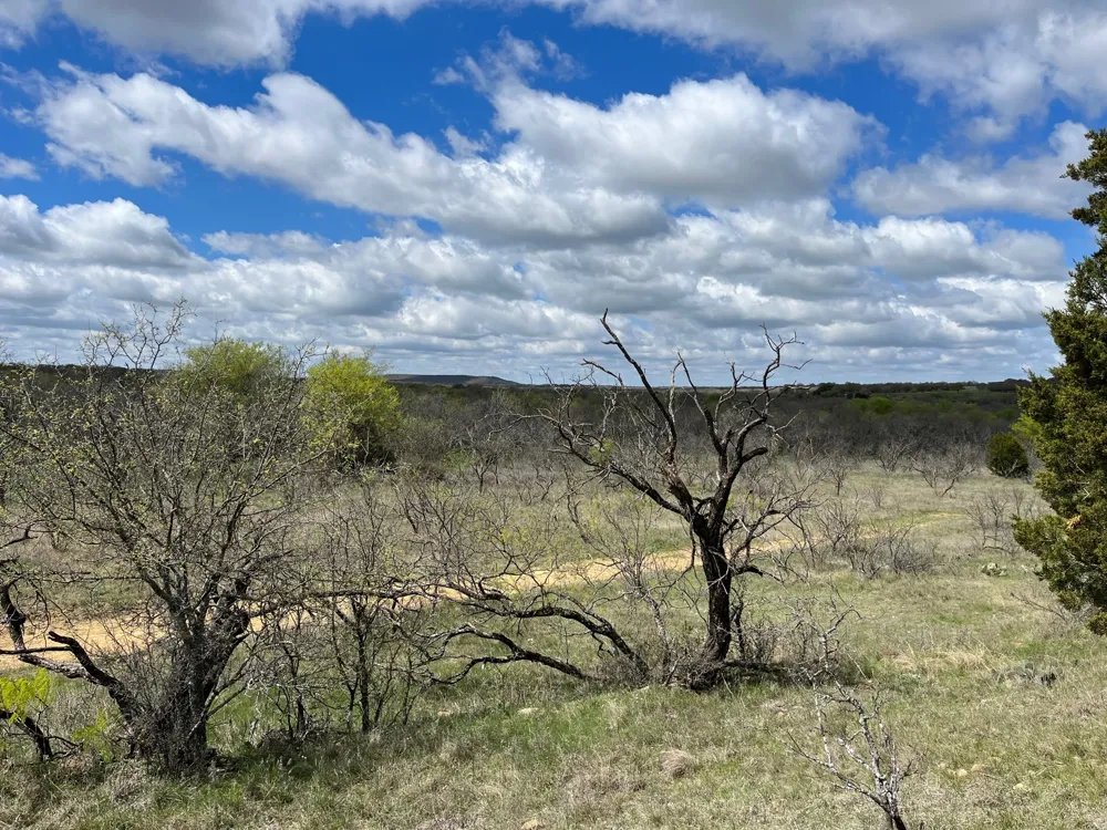 Burwick Road Jacksboro, TX 76458
