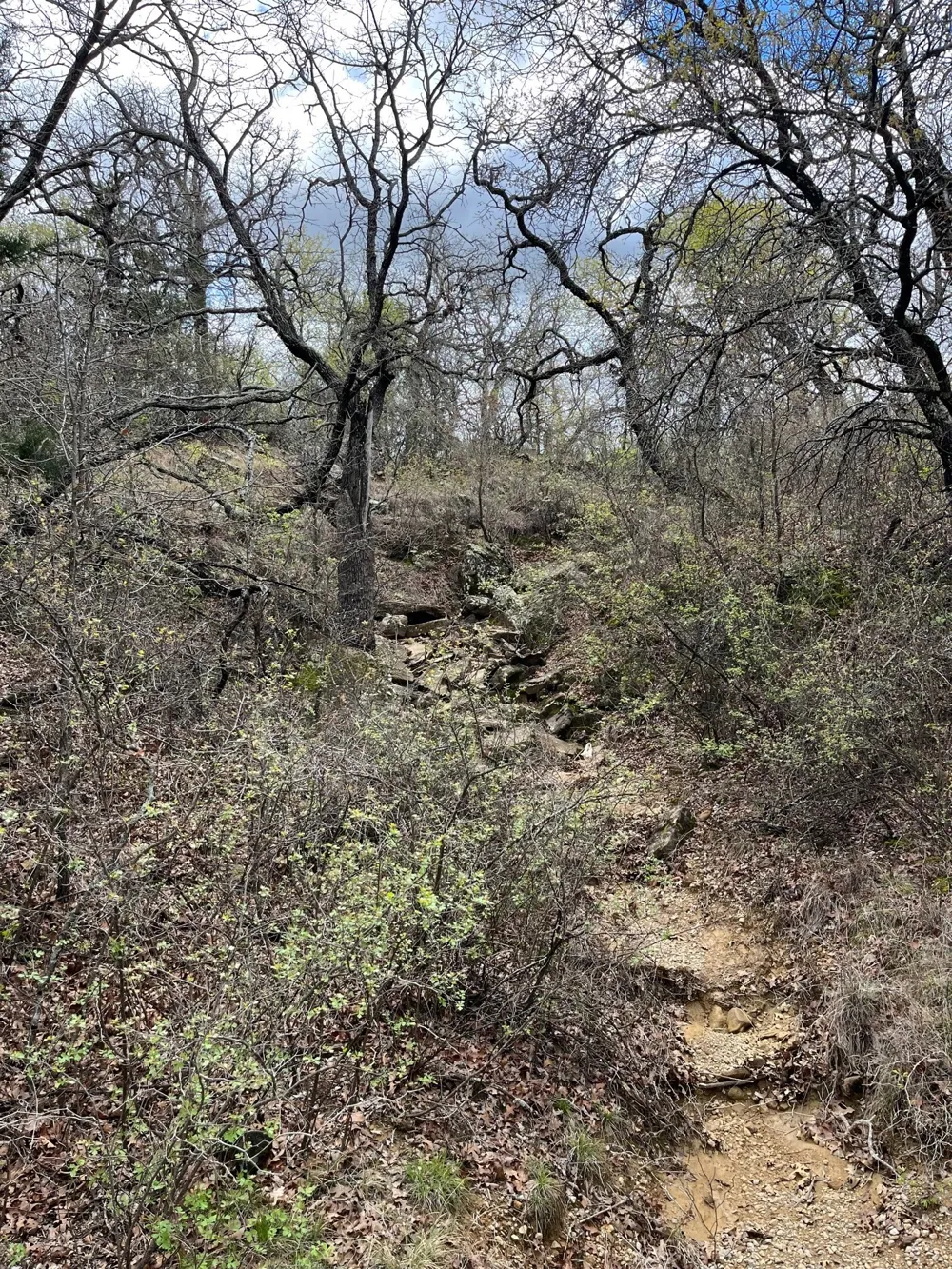Burwick Road Jacksboro, TX 76458