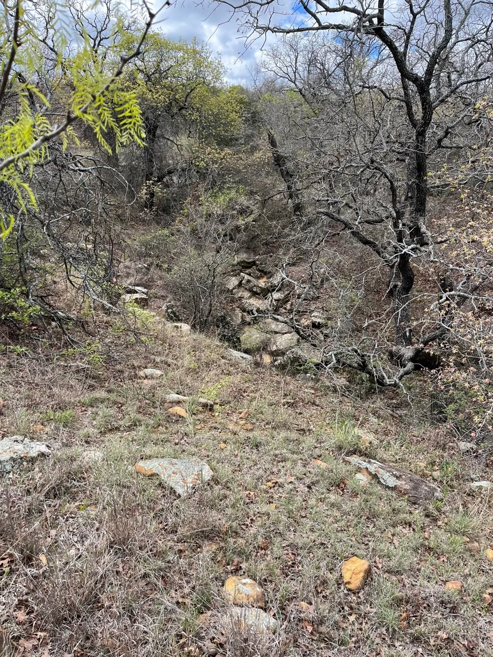 Burwick Road Jacksboro, TX 76458