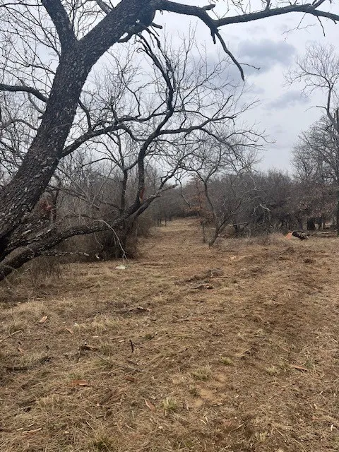 Burwick Road Jacksboro, TX 76458