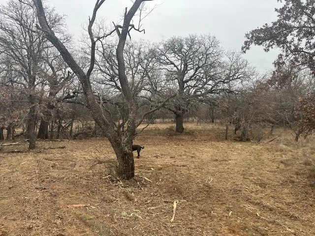 Burwick Road Jacksboro, TX 76458