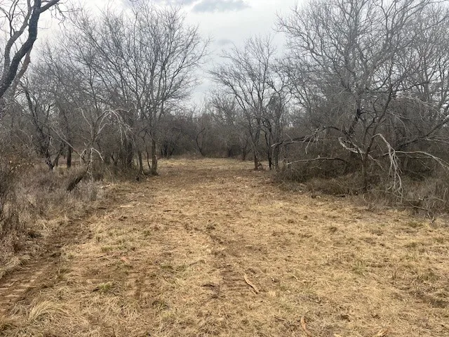 Burwick Road Jacksboro, TX 76458