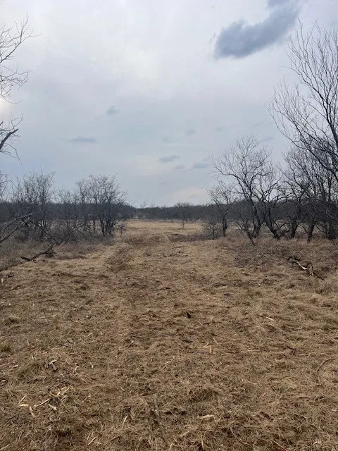Burwick Road Jacksboro, TX 76458