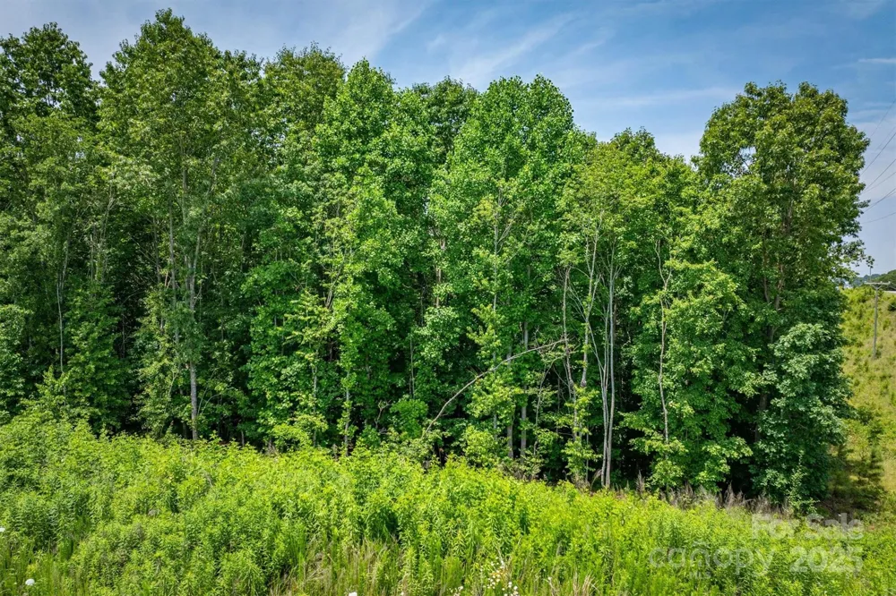 TBD Catawba Valley Boulevard SE #7-31 Hickory, NC 28601