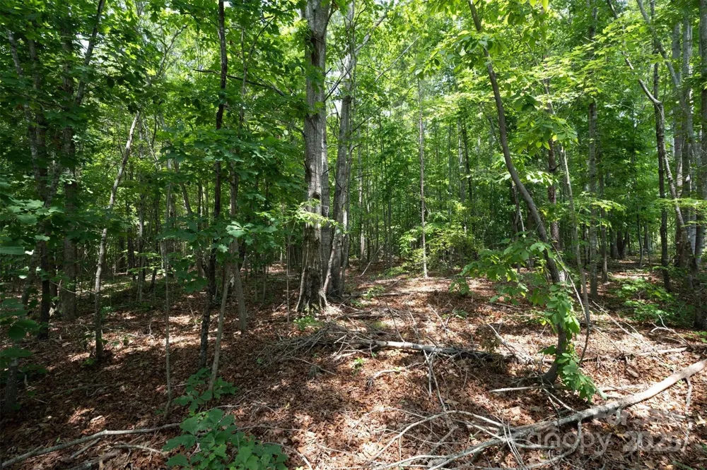 TBD Catawba Valley Boulevard SE #7-31 Hickory, NC 28601