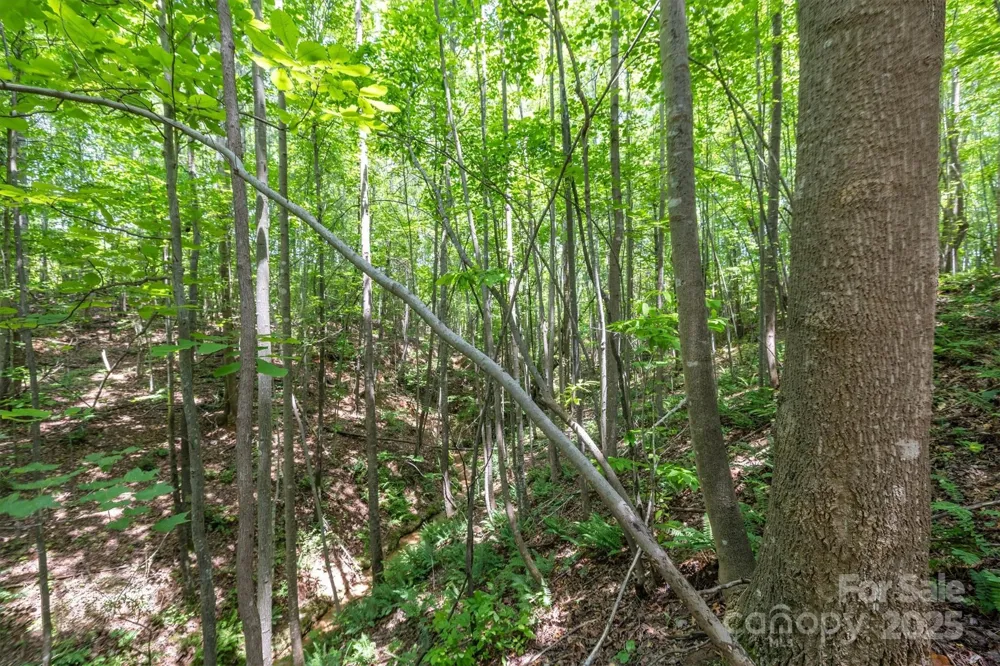 TBD Catawba Valley Boulevard SE #7-31 Hickory, NC 28601