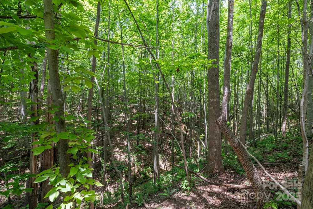 TBD Catawba Valley Boulevard SE #7-31 Hickory, NC 28601