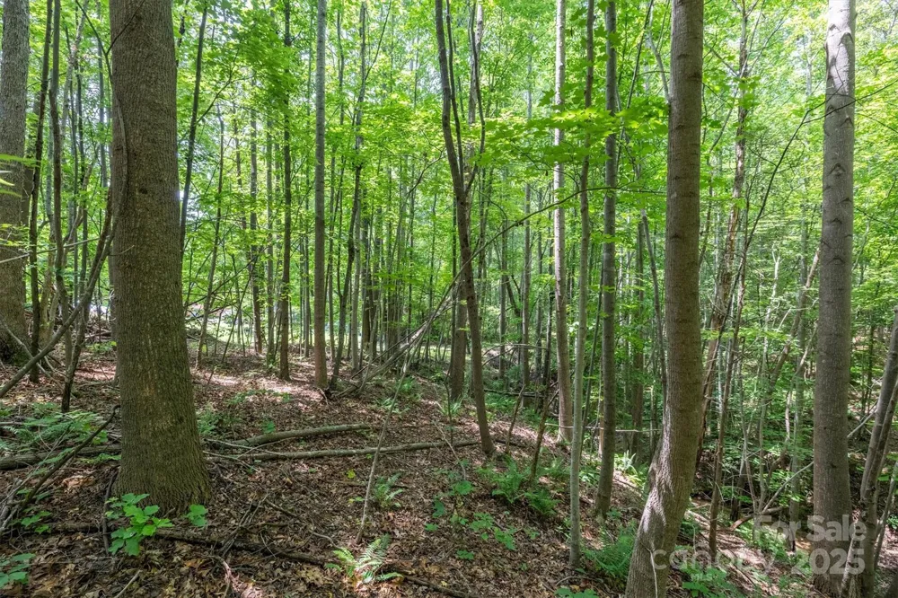 TBD Catawba Valley Boulevard SE #7-31 Hickory, NC 28601