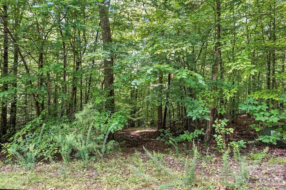 6 Hager Mountain Lane Iron Station, NC 28080