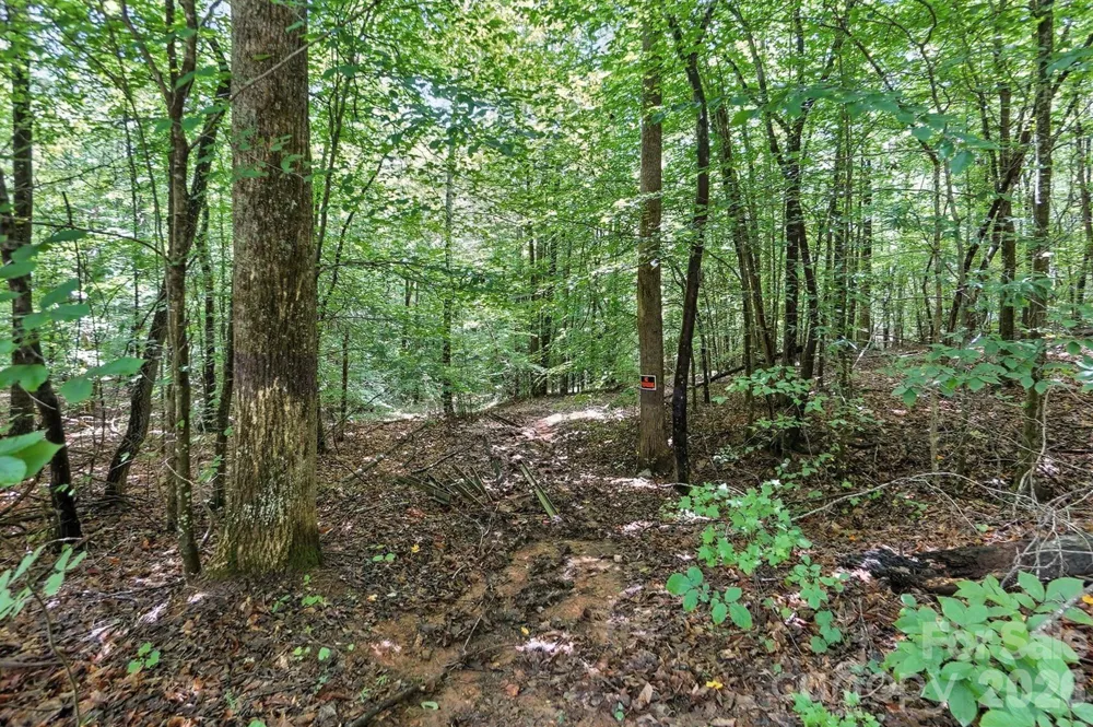 6 Hager Mountain Lane Iron Station, NC 28080