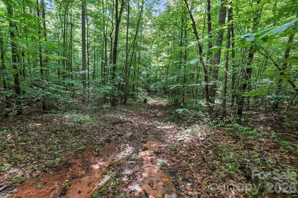 6 Hager Mountain Lane Iron Station, NC 28080