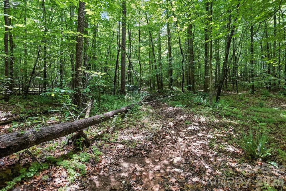 6 Hager Mountain Lane Iron Station, NC 28080