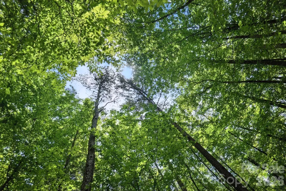 6 Hager Mountain Lane Iron Station, NC 28080