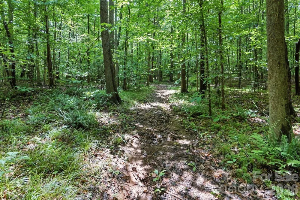 6 Hager Mountain Lane Iron Station, NC 28080