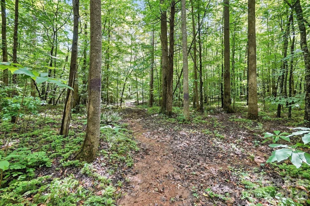 6 Hager Mountain Lane Iron Station, NC 28080