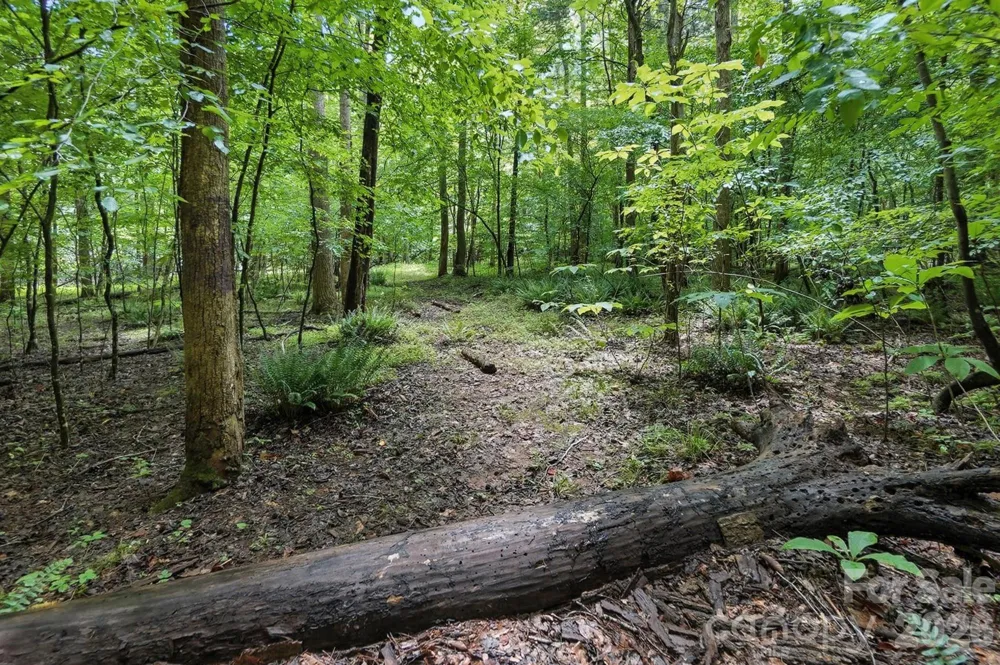 6 Hager Mountain Lane Iron Station, NC 28080