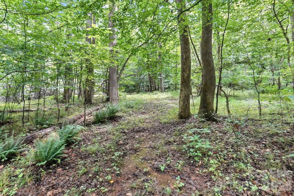 6 Hager Mountain Lane Iron Station, NC 28080