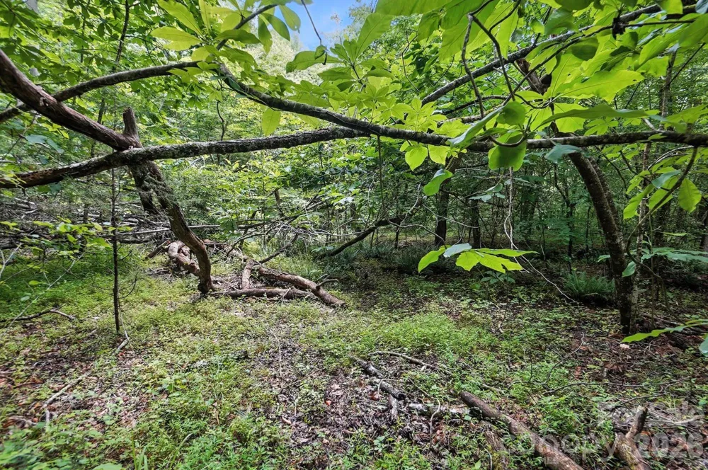 6 Hager Mountain Lane Iron Station, NC 28080