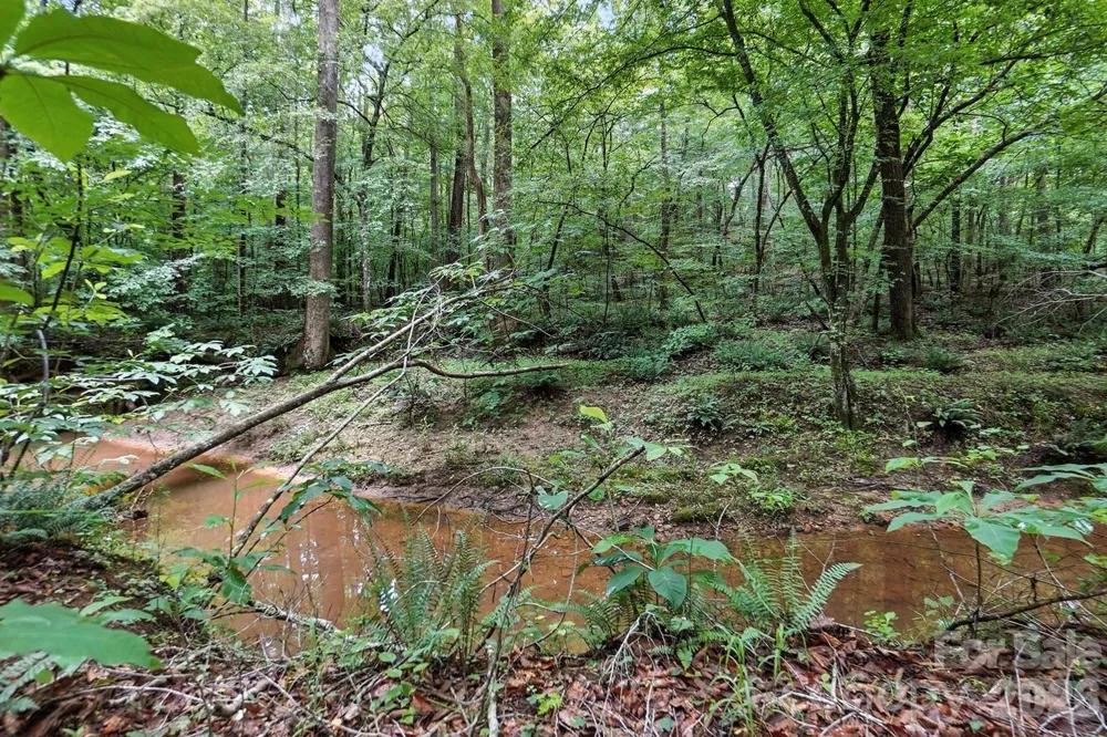 6 Hager Mountain Lane Iron Station, NC 28080