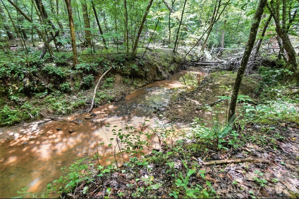 6 Hager Mountain Lane Iron Station, NC 28080