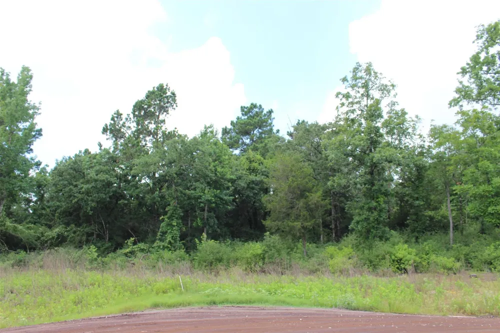 164 Private Road 1311 Centerville, TX 75833