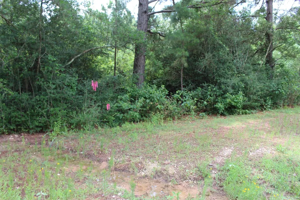 164 Private Road 1311 Centerville, TX 75833