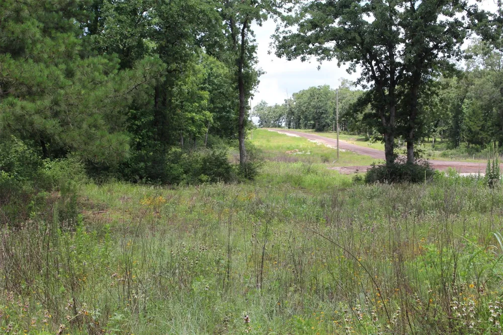 164 Private Road 1311 Centerville, TX 75833