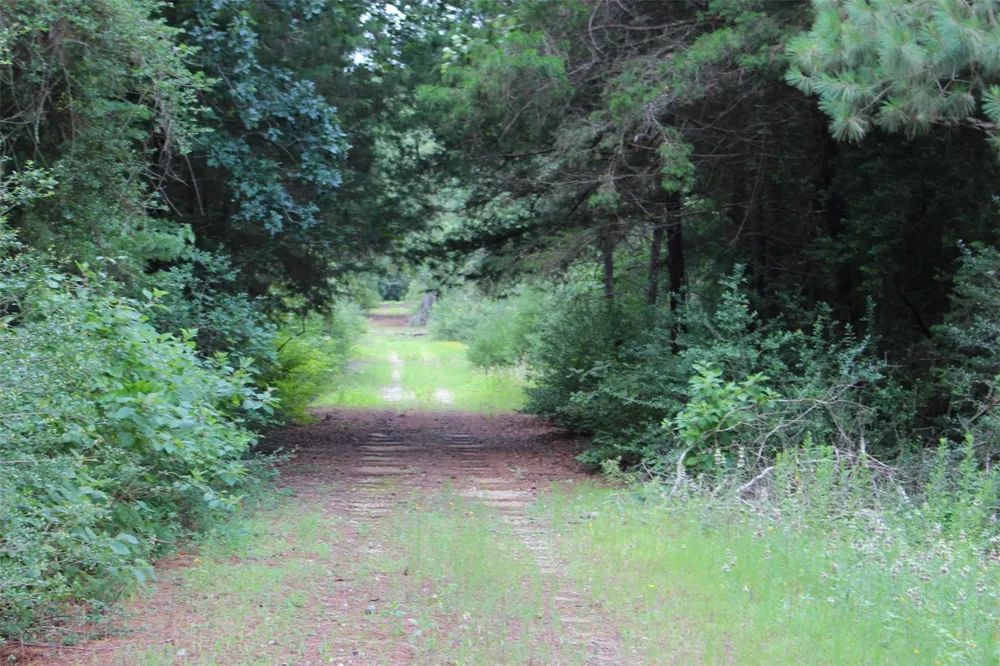 164 Private Road 1311 Centerville, TX 75833